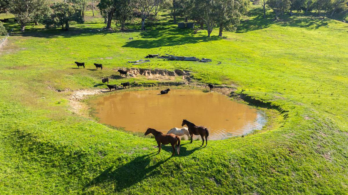 52 McDonald Lane, Kiewa For Sale by Farmbuy.com - image 32