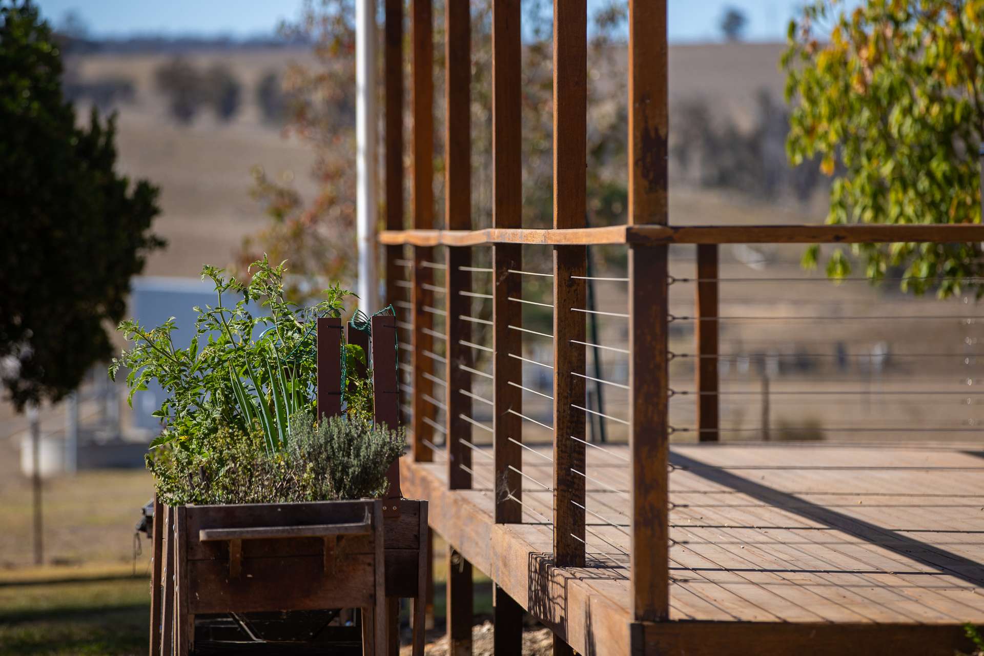 1453 Enmore Road, Armidale Tender by Farmbuy.com - image 7