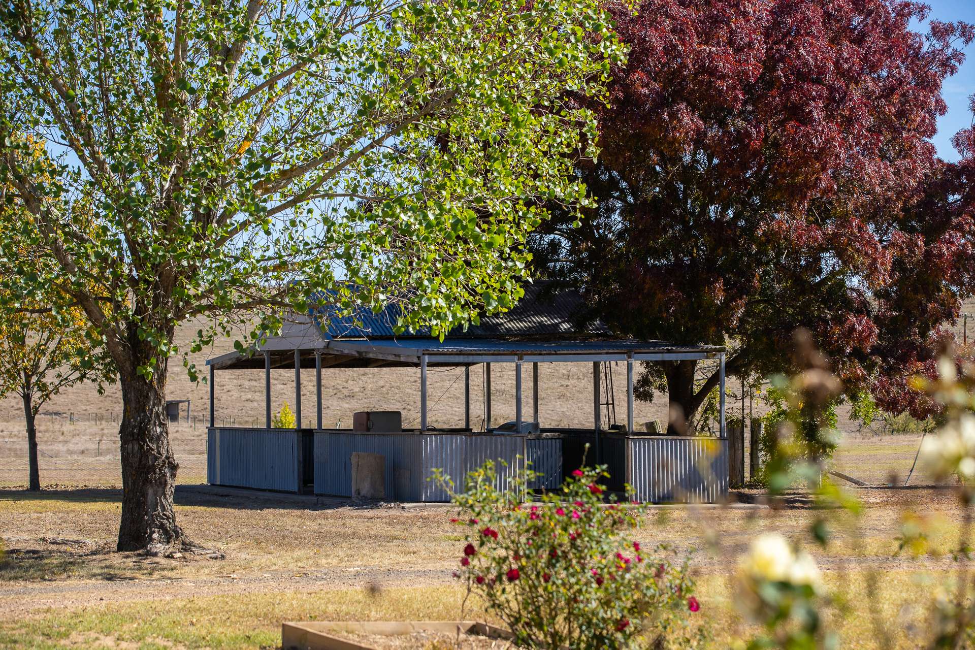 1453 Enmore Road, Armidale Tender by Farmbuy.com - image 9