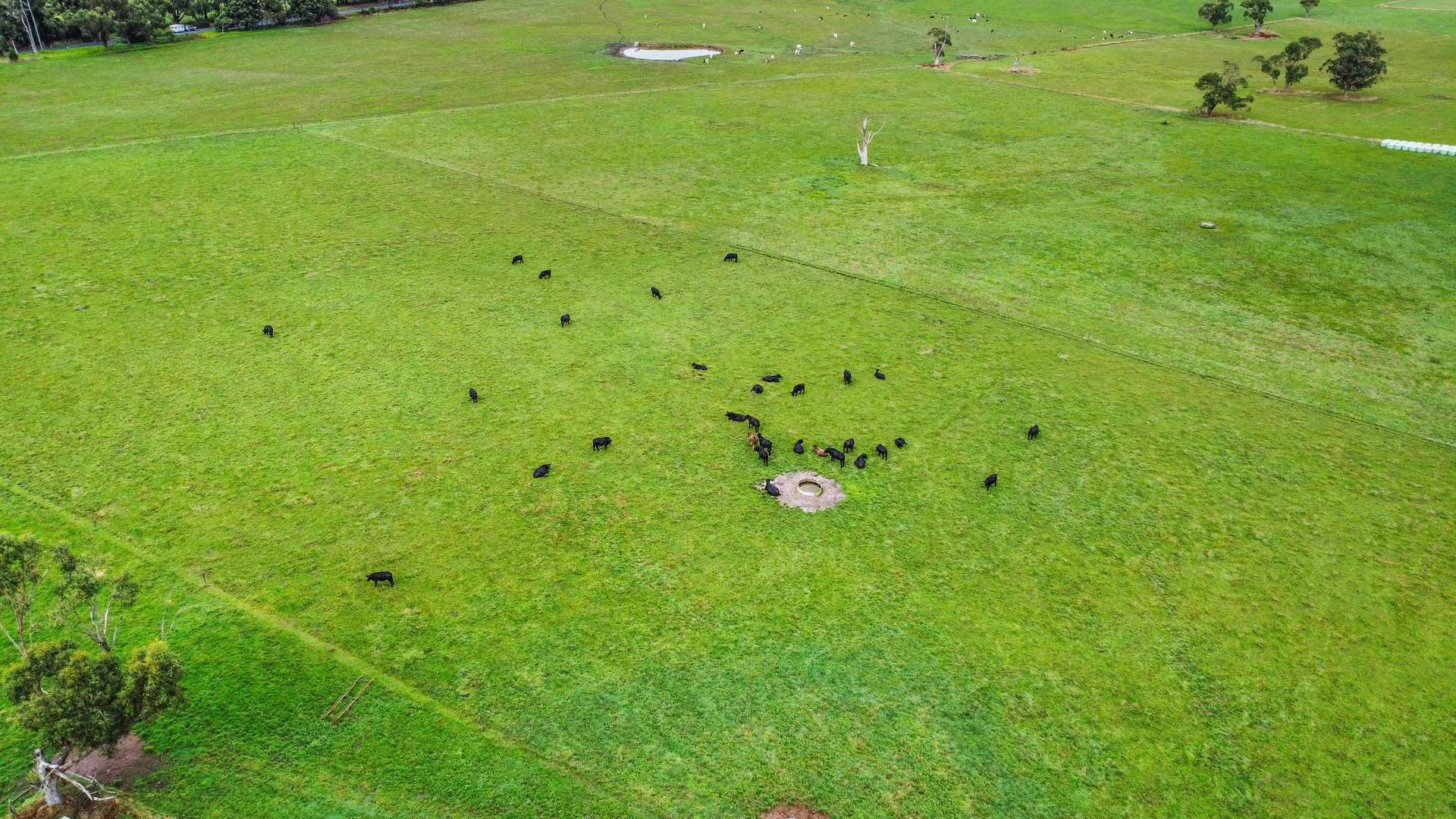 35 Whitelaws Track, Leongatha South Auction by Farmbuy.com - image 22