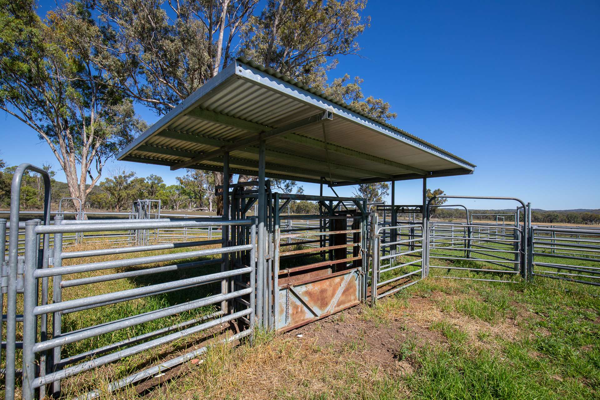 Lot 66 Glen Hazel Road, Inverell For Sale by Farmbuy.com - image 14