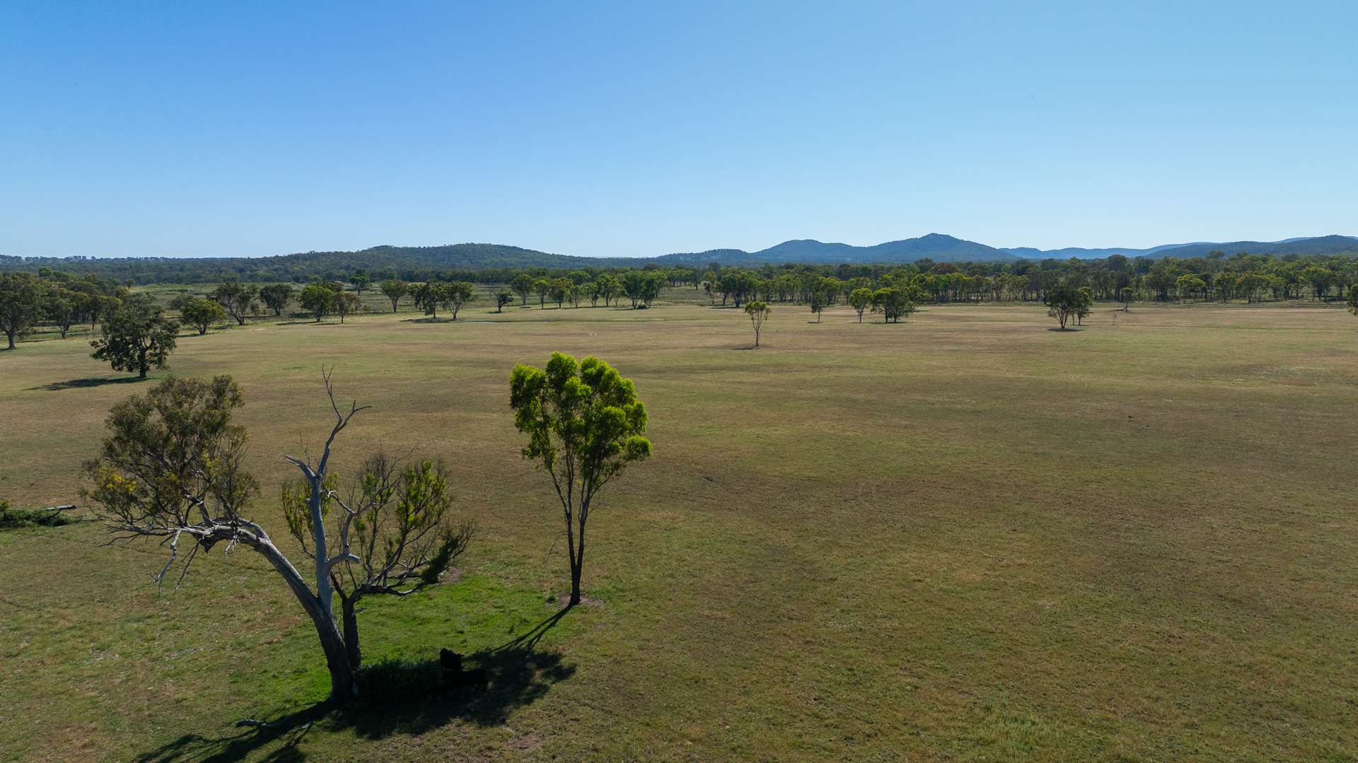 Lot 66 Glen Hazel Road, Inverell For Sale by Farmbuy.com - image 9