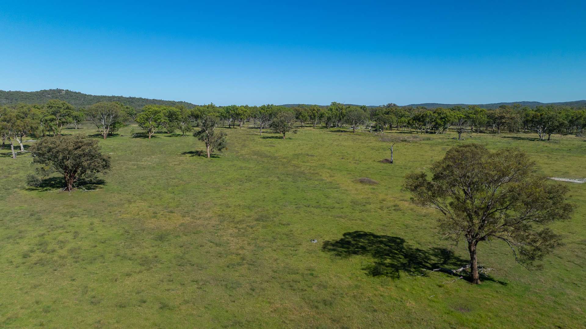 Lot 66 Glen Hazel Road, Inverell For Sale by Farmbuy.com - image 18