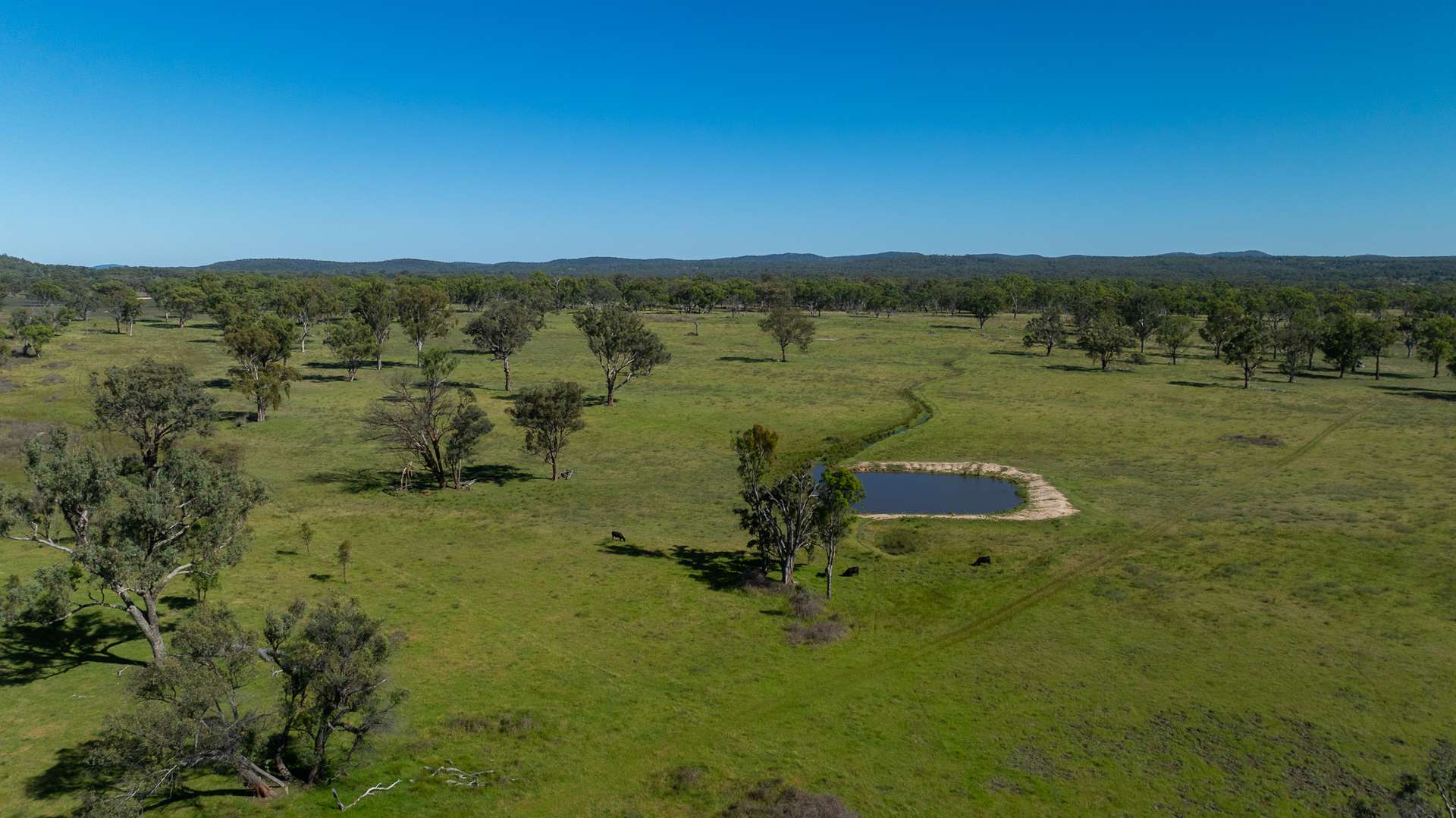 Lot 66 Glen Hazel Road, Inverell For Sale by Farmbuy.com - image 16