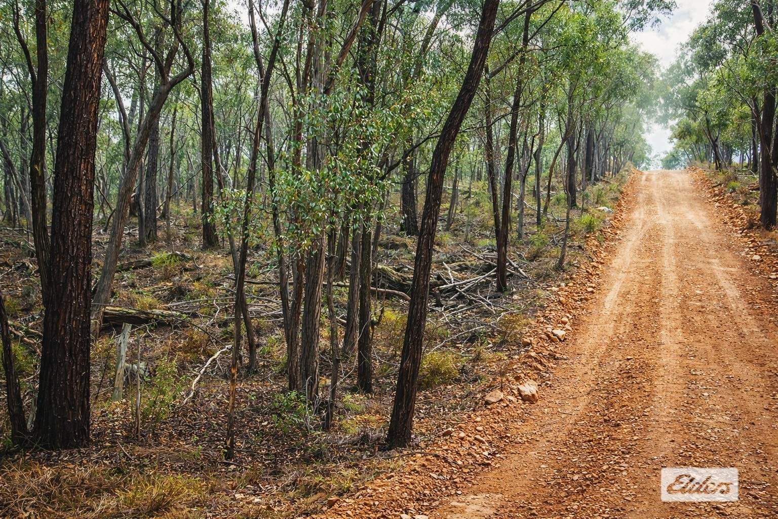 Lot 2,  Hargreaves Road, Emu Creek For Sale by Farmbuy.com - image 9