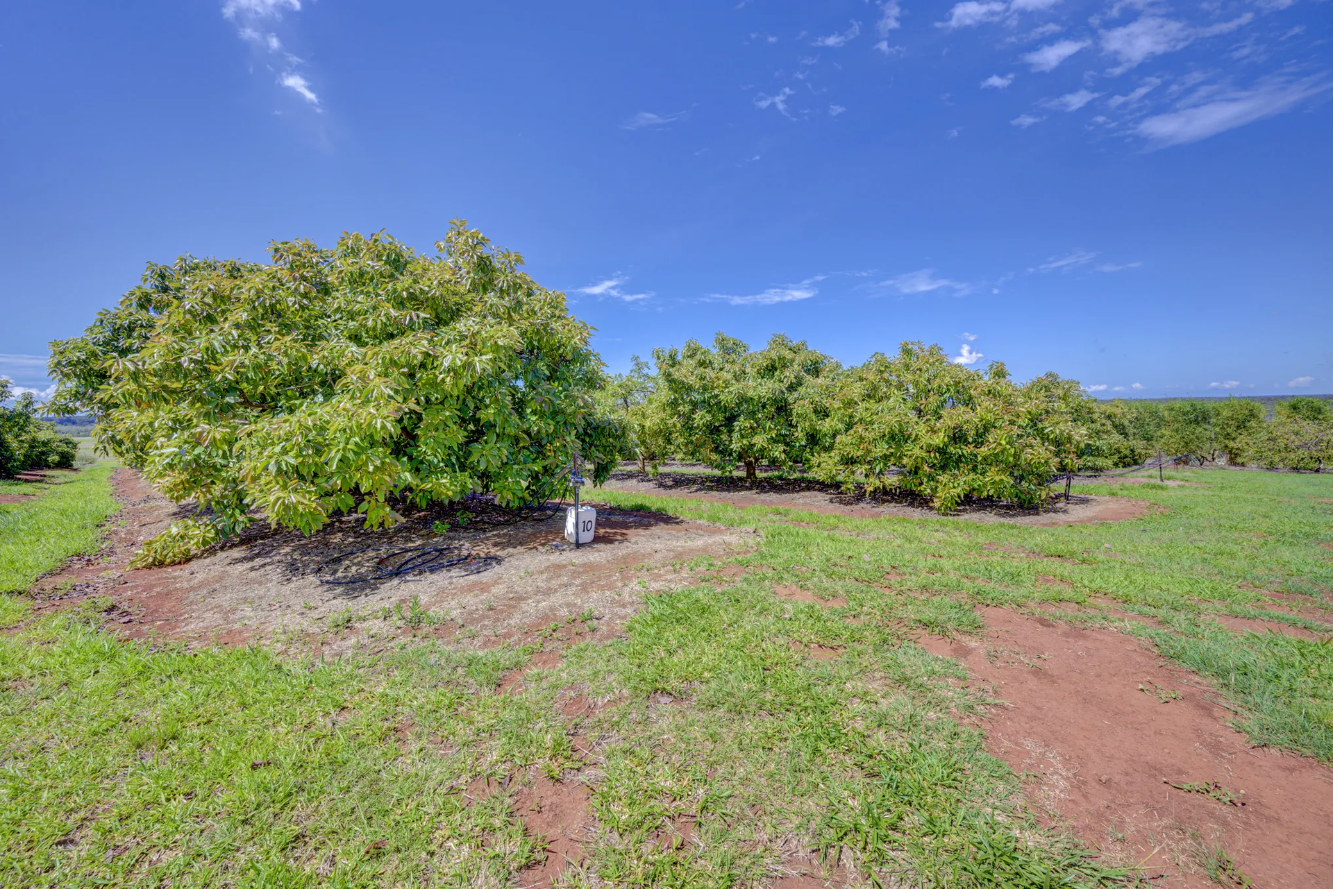 28280 Bruce Highway, Horton Sold by Farmbuy.com - image 29
