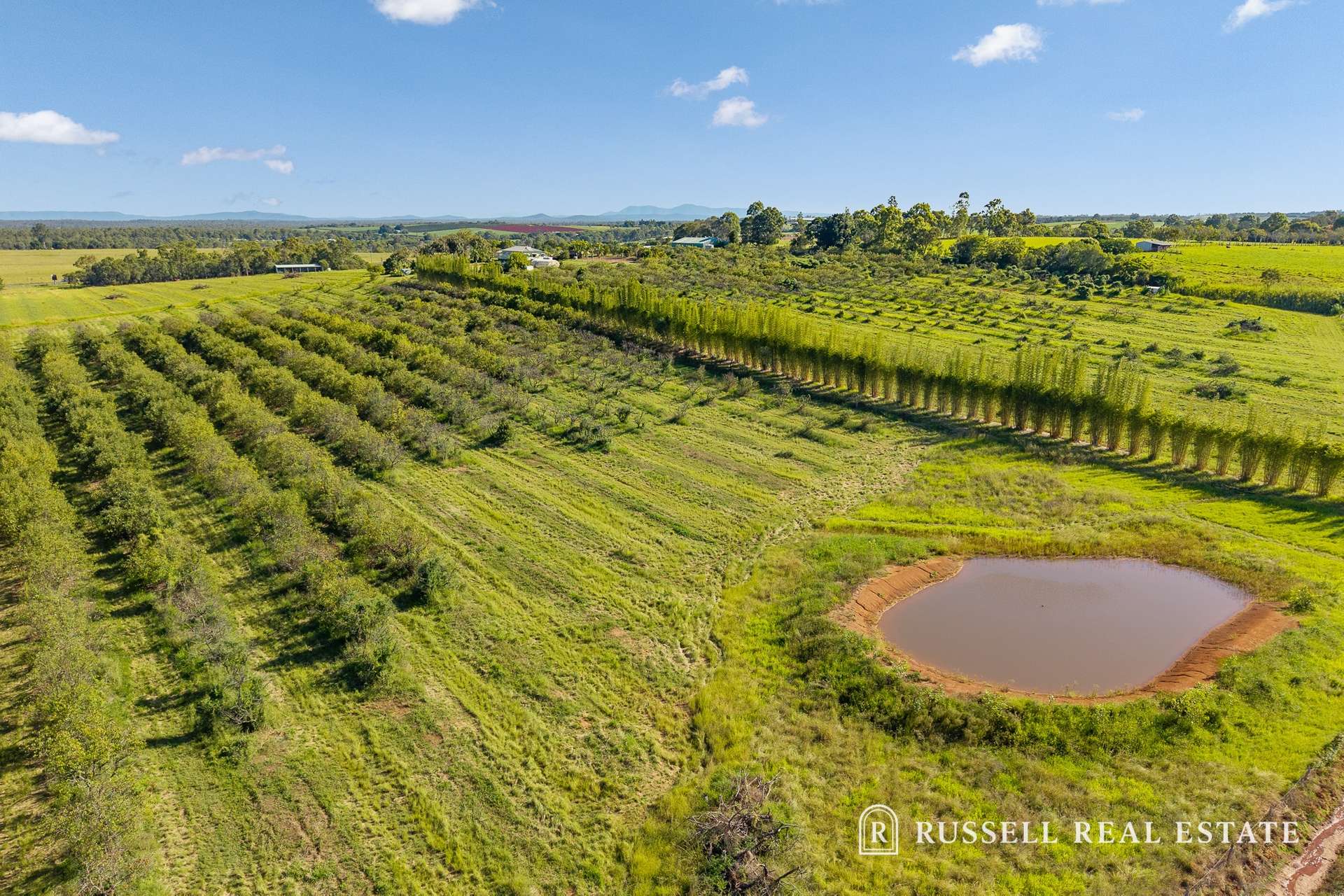 28280 Bruce Highway, Horton Sold by Farmbuy.com - image 4