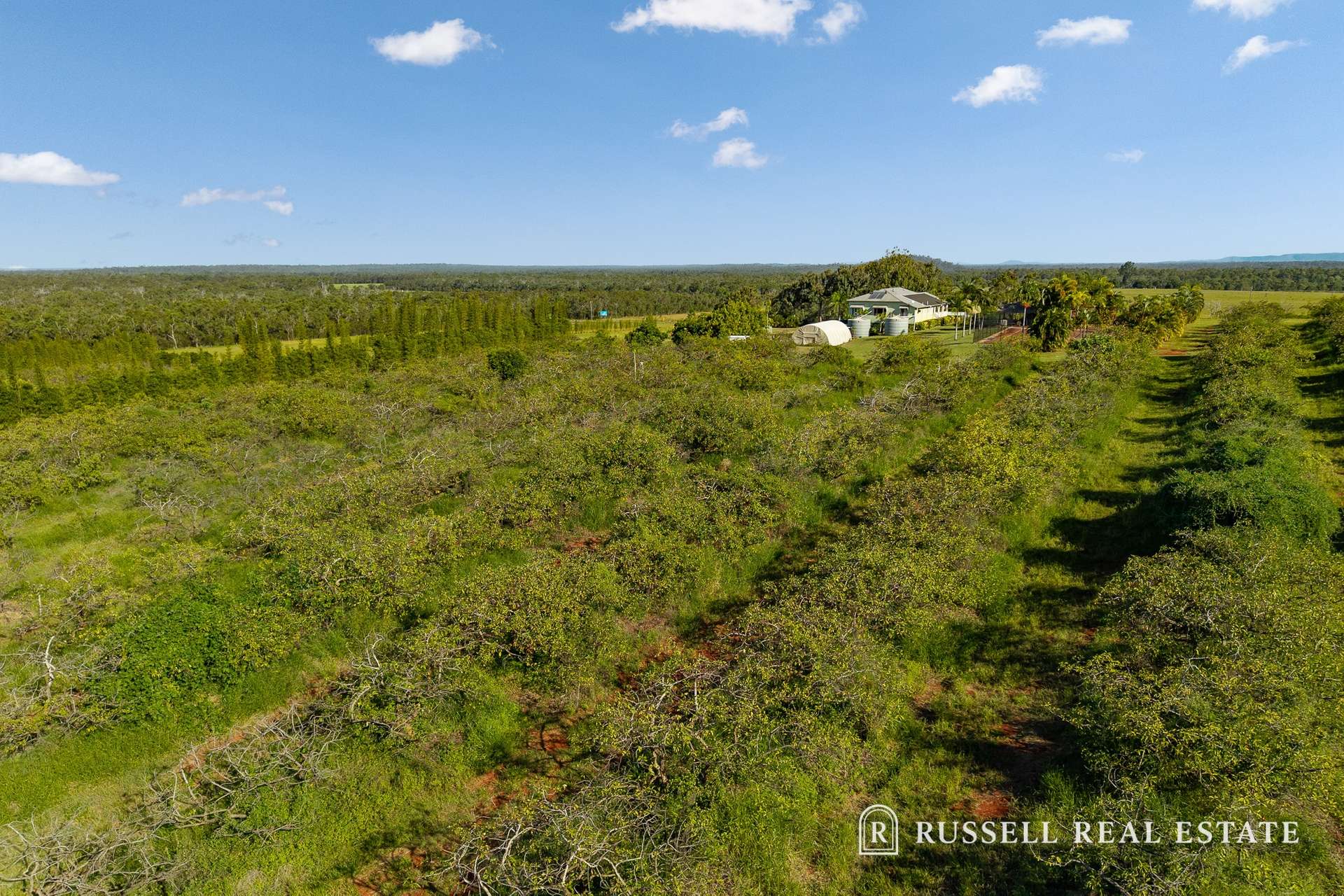 28280 Bruce Highway, Horton Sold by Farmbuy.com - image 31