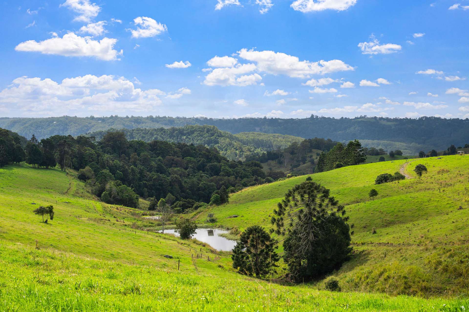 Lot 1 Tesch Road, Witta For Sale by Farmbuy.com - image 6