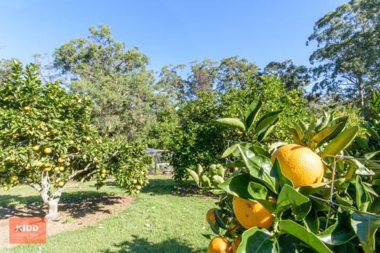 217 Sternbeck Road, Bucketty For Sale by Farmbuy.com - image 19