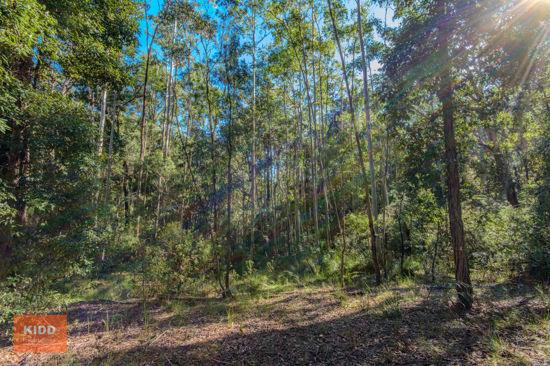 217 Sternbeck Road, Bucketty For Sale by Farmbuy.com - image 25