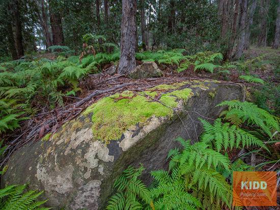 217 Sternbeck Road, Bucketty For Sale by Farmbuy.com - image 24