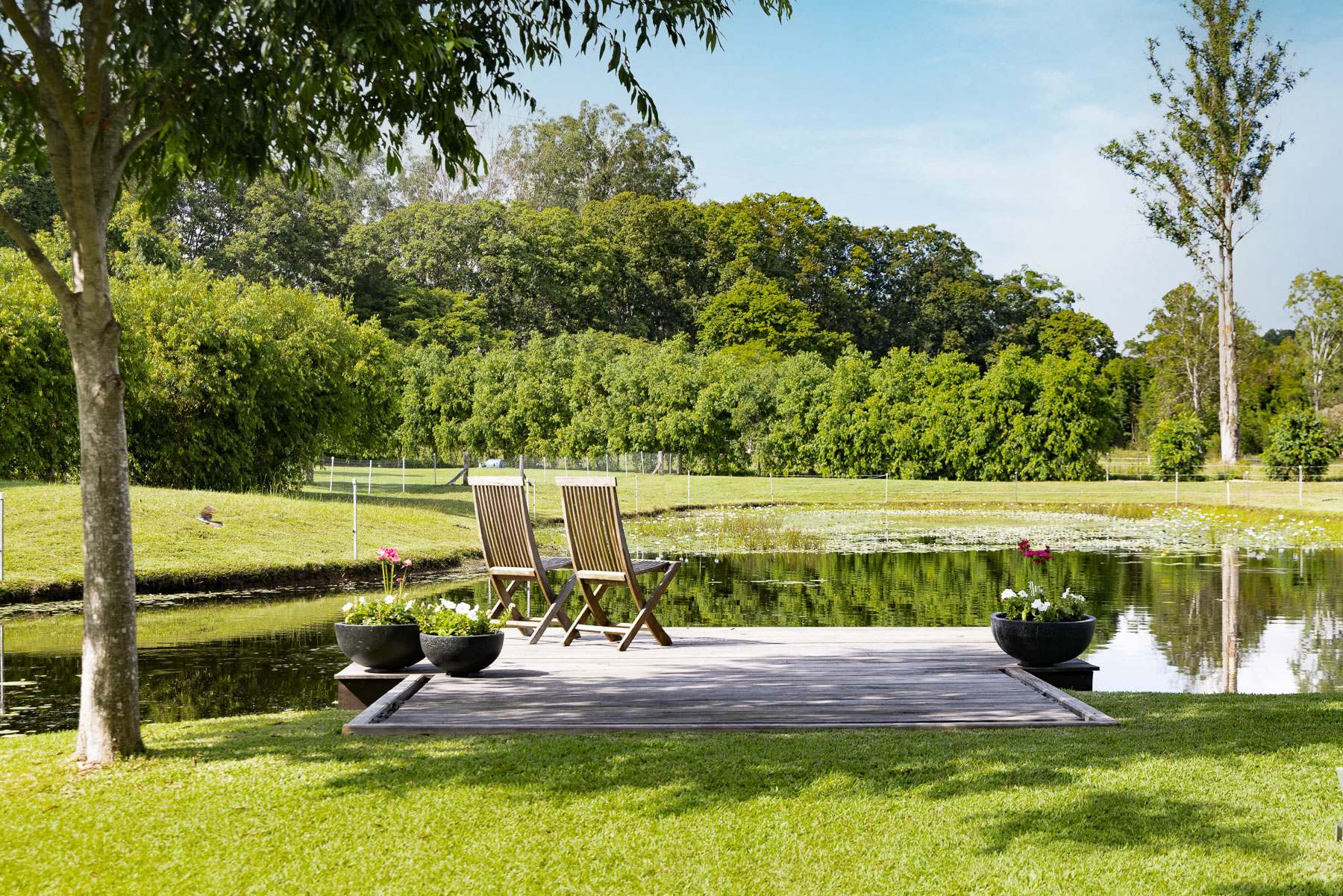 54 Jubilee Road, Carters Ridge For Sale by Farmbuy.com - image 4