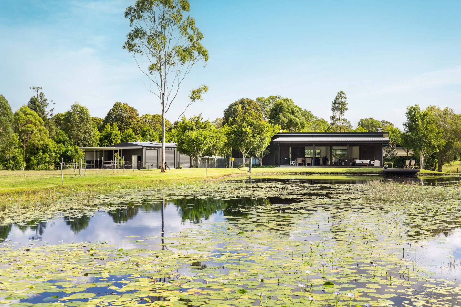 54 Jubilee Road, Carters Ridge For Sale by Farmbuy.com - image 5