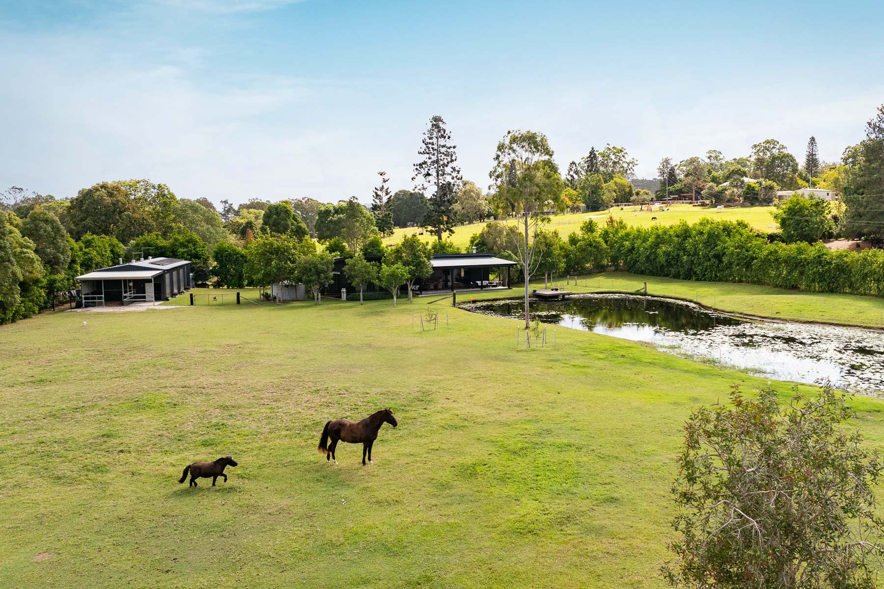 54 Jubilee Road, Carters Ridge For Sale by Farmbuy.com - image 3