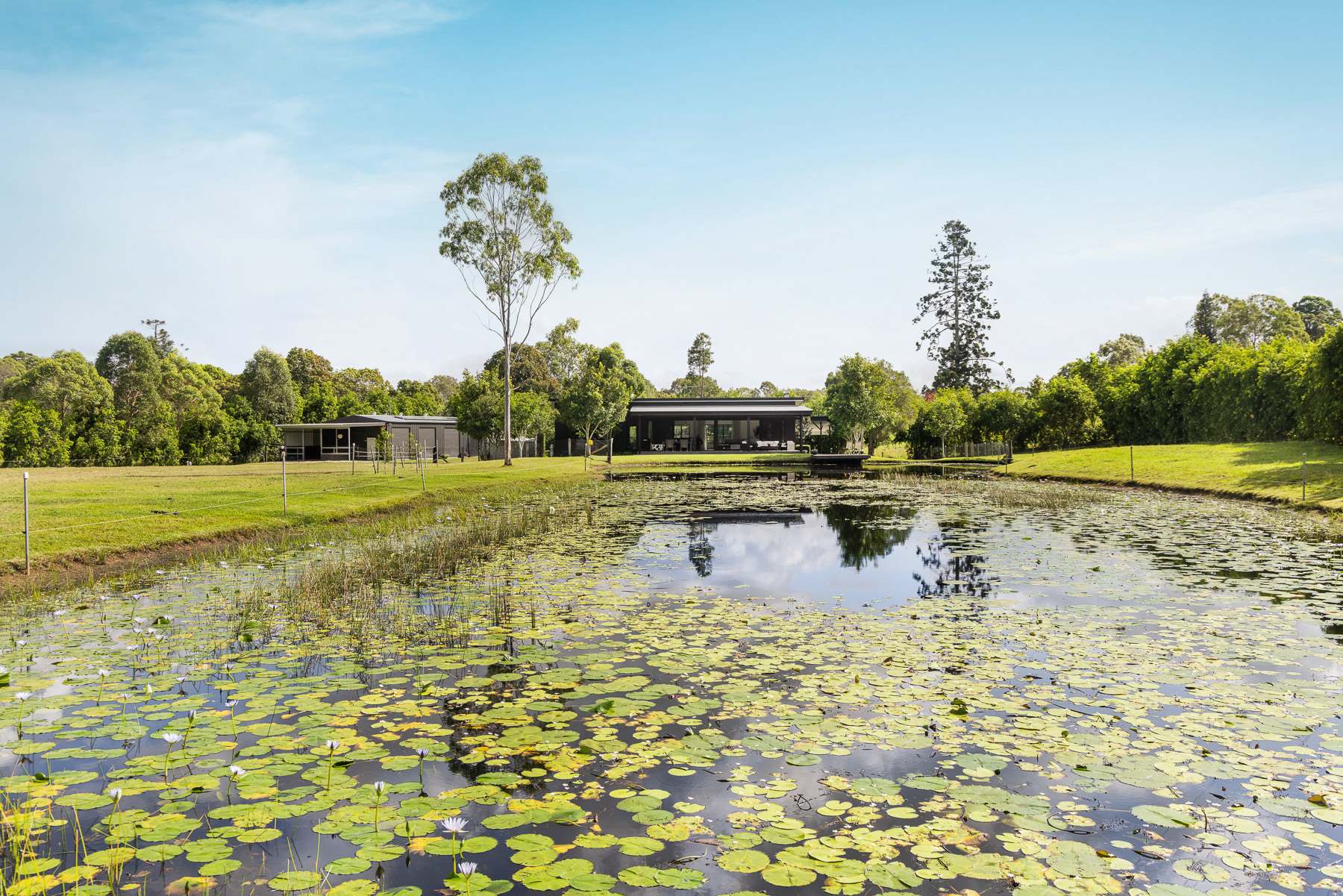 54 Jubilee Road, Carters Ridge For Sale by Farmbuy.com - image 17