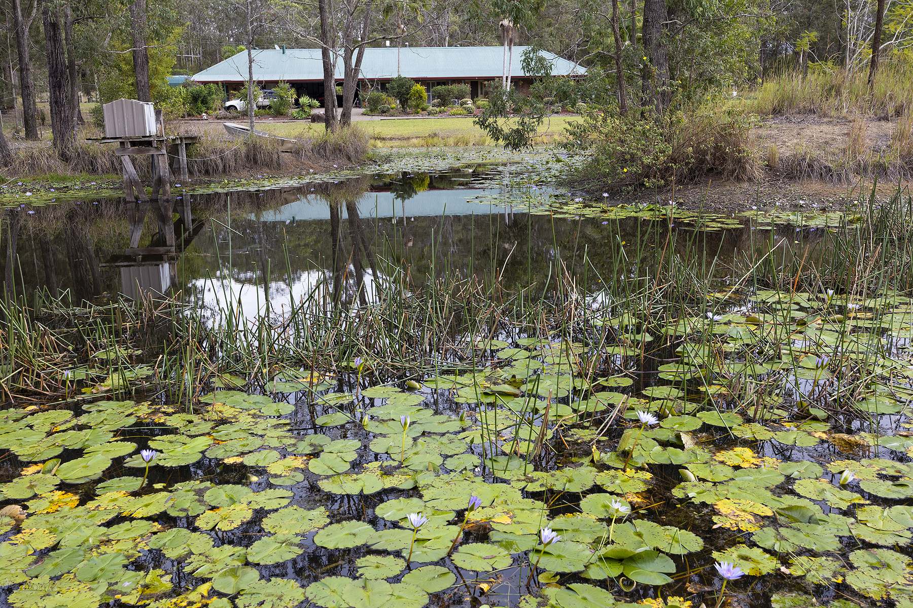 20 Pitt Wharf Road, Coolongolook For Sale by Farmbuy.com - image 34