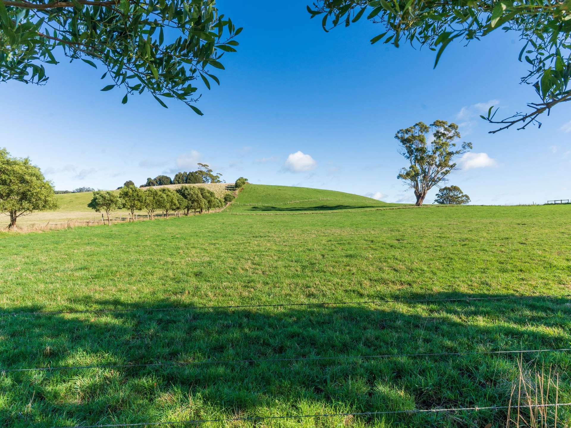 1648 Preston Road, Preston For Sale by Farmbuy.com - image 26