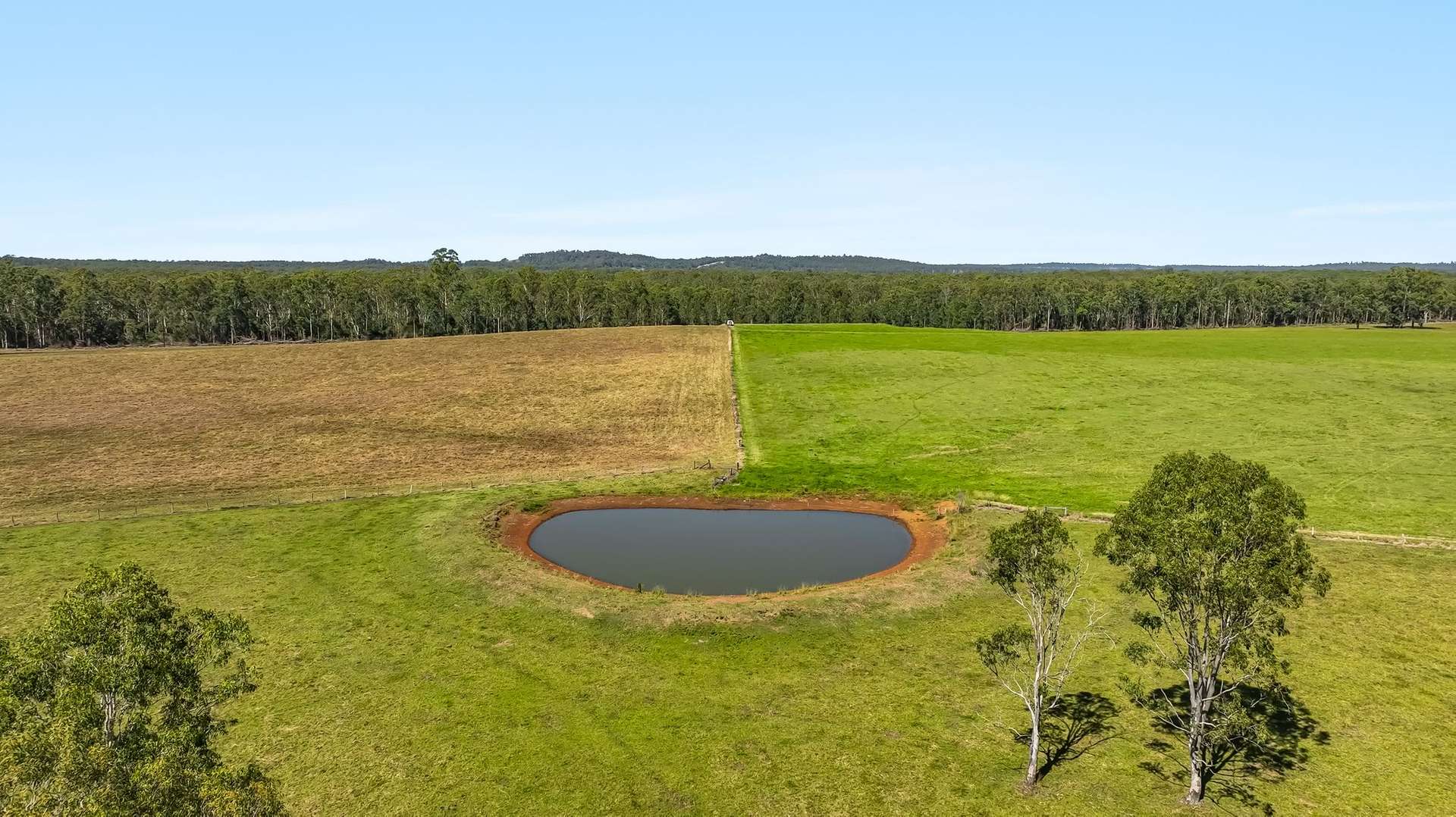 1295 Ellangowan Road, Ellangowan For Sale by Farmbuy.com - image 3