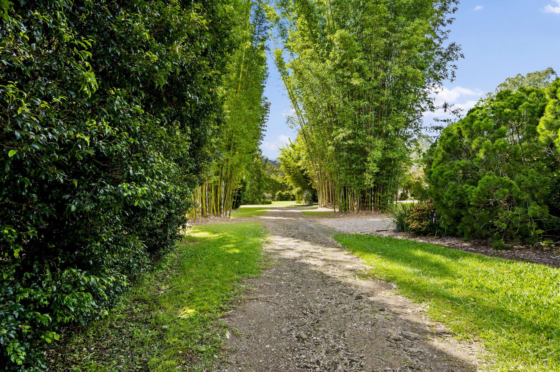 8 Teatree Close, Samford Valley For Sale by Farmbuy.com - image 28