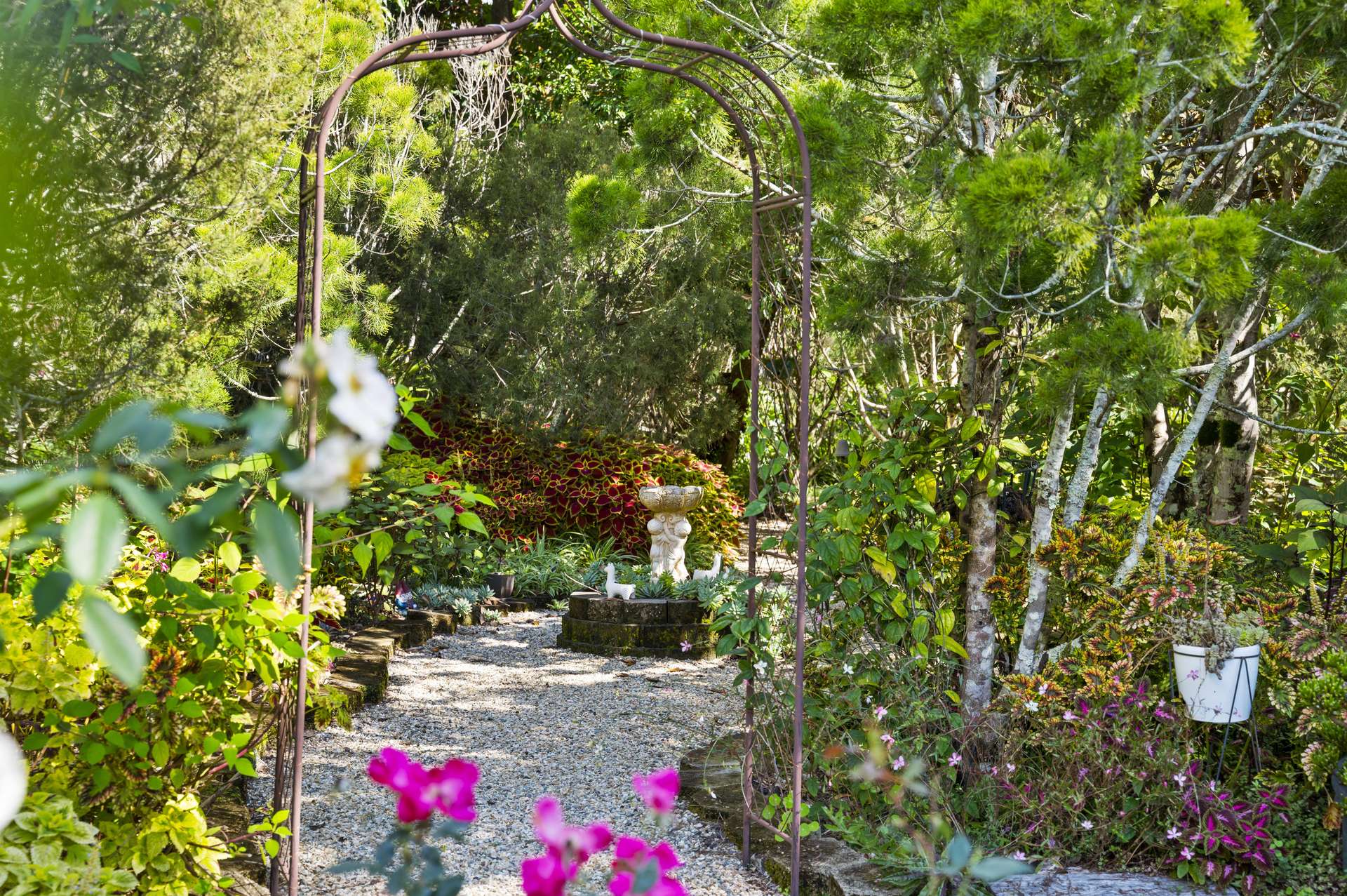 8 Teatree Close, Samford Valley For Sale by Farmbuy.com - image 30