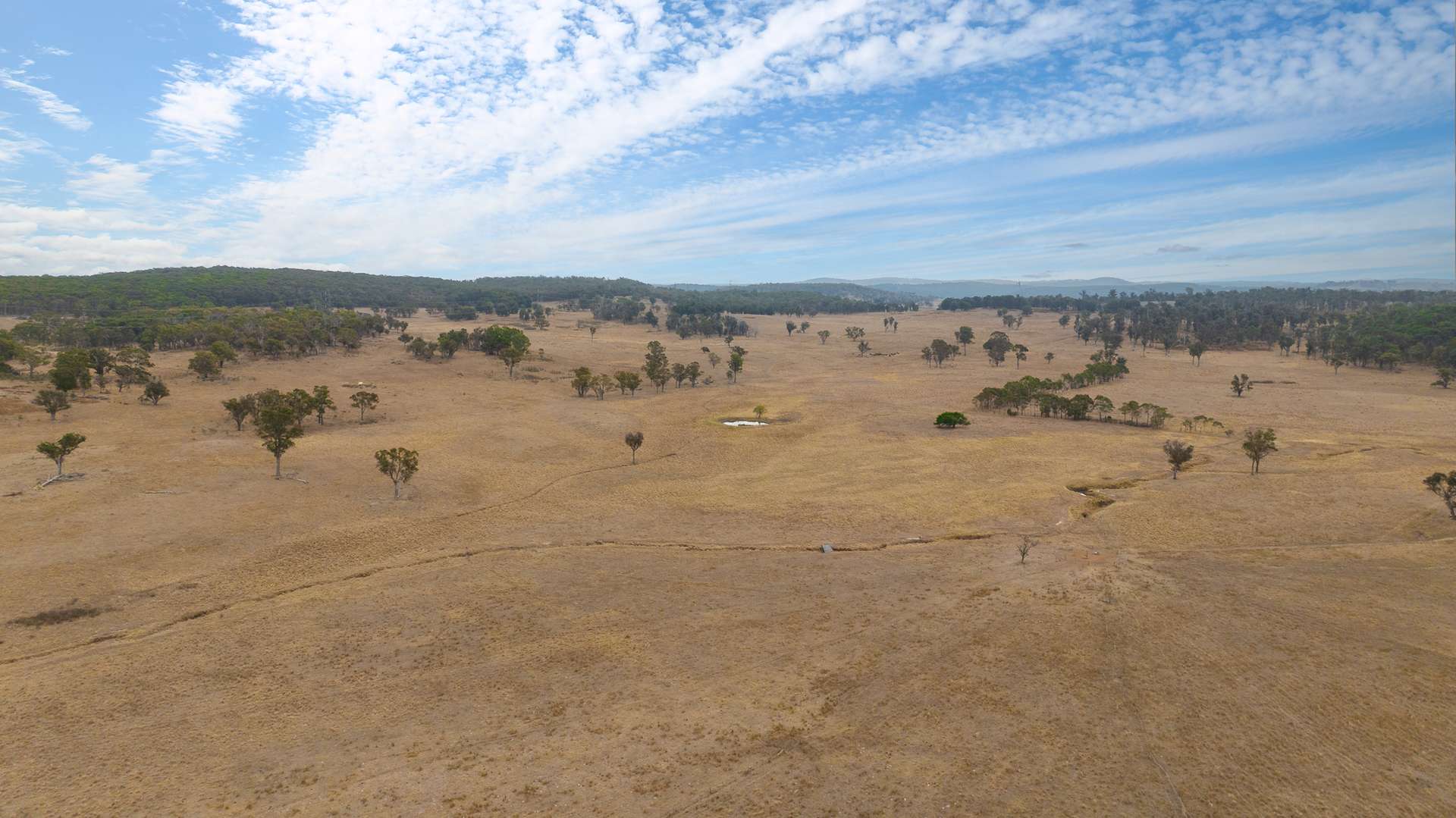"Fern Hill" 526 Toms Gully Road, Black Mountain Tender by Farmbuy.com - image 19