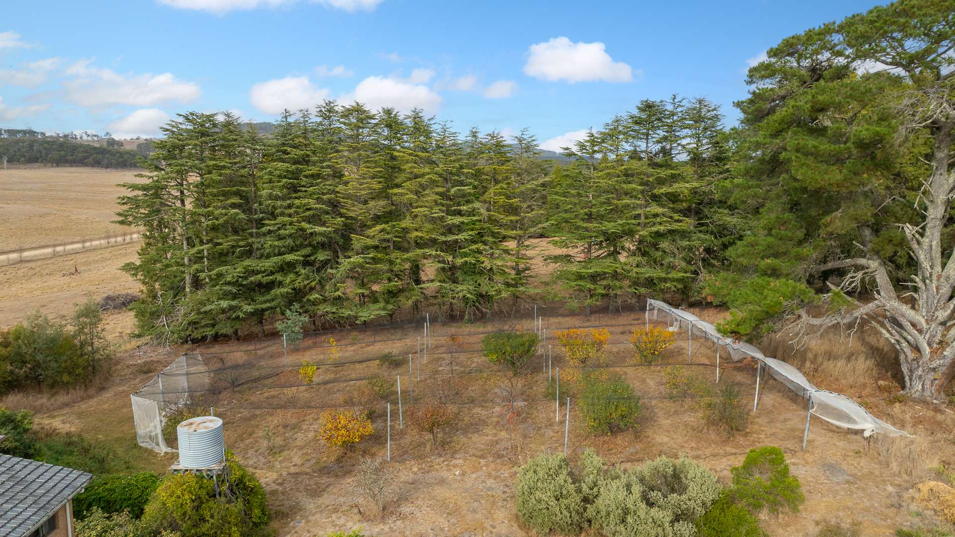 "Fern Hill" 526 Toms Gully Road, Black Mountain Tender by Farmbuy.com - image 28