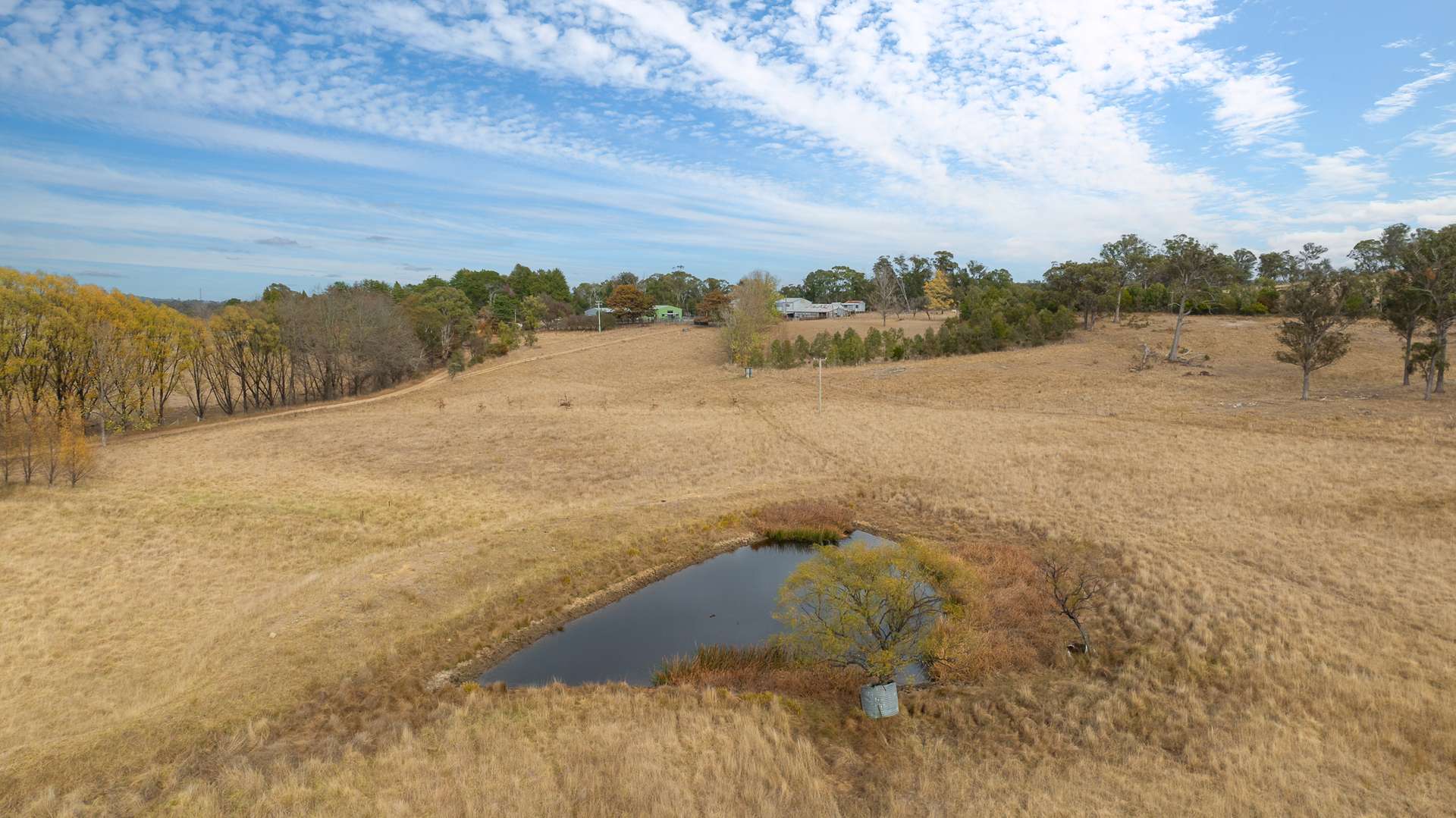 "Fern Hill" 526 Toms Gully Road, Black Mountain Tender by Farmbuy.com - image 10