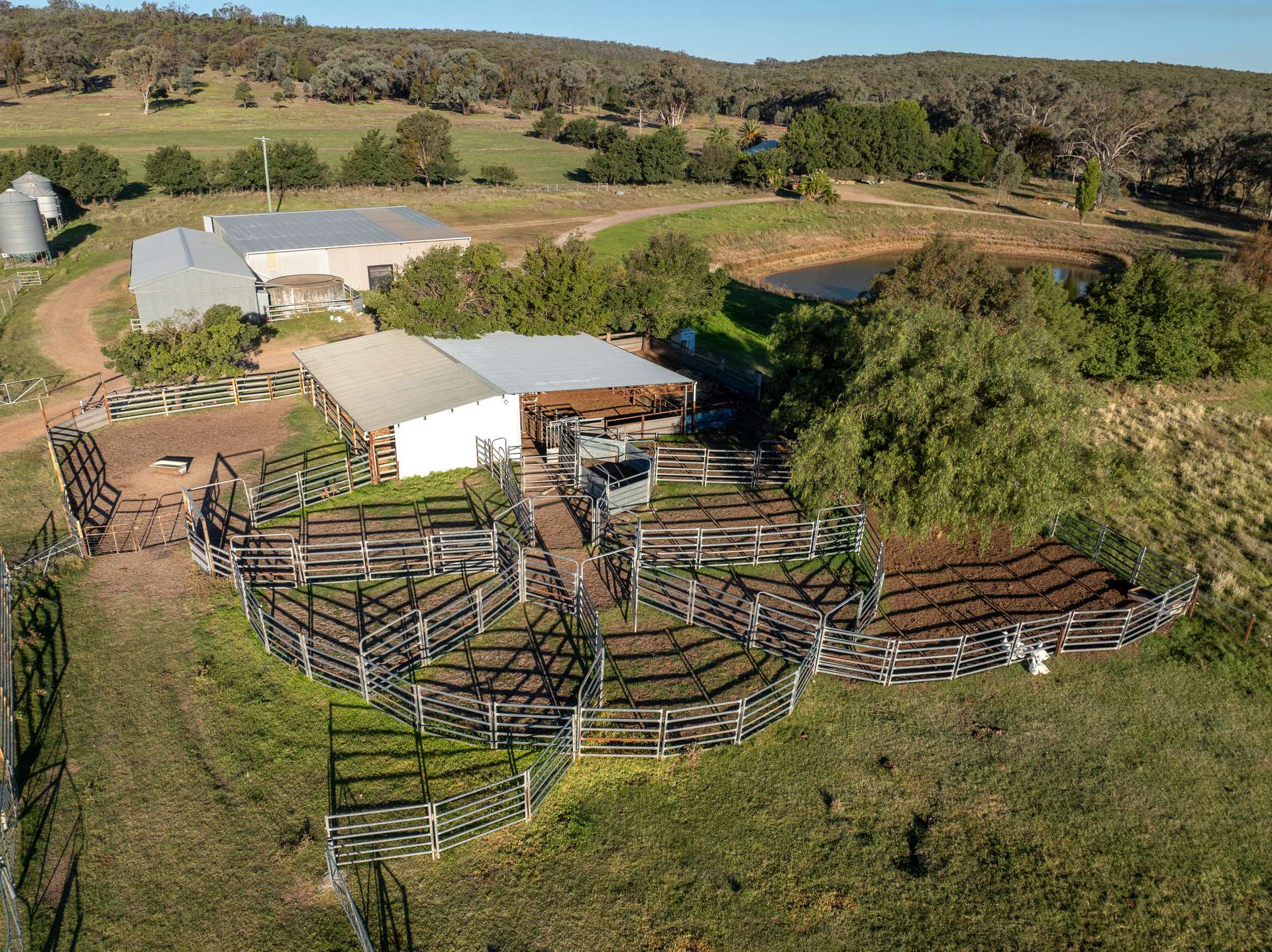 'Tullatoola' 798 Packham Drive, Molong Auction by Farmbuy.com - image 6