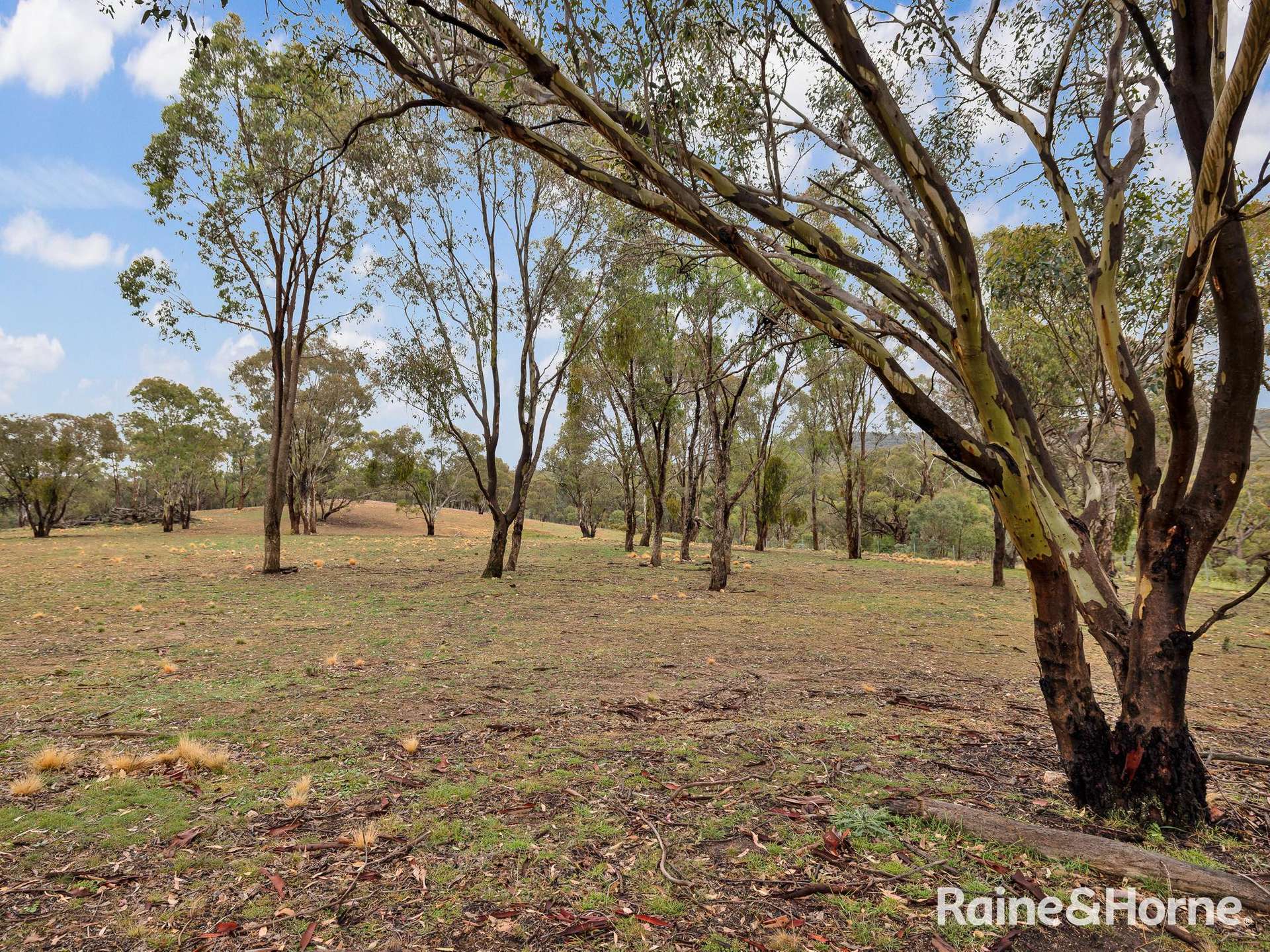 134 Mersing Road, Glanmire For Sale by Farmbuy.com - image 26