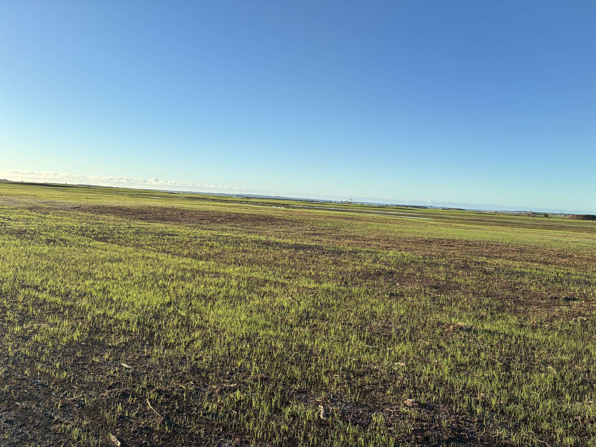 26 Davey Point Road, Montagu For Sale by Farmbuy.com - image 12