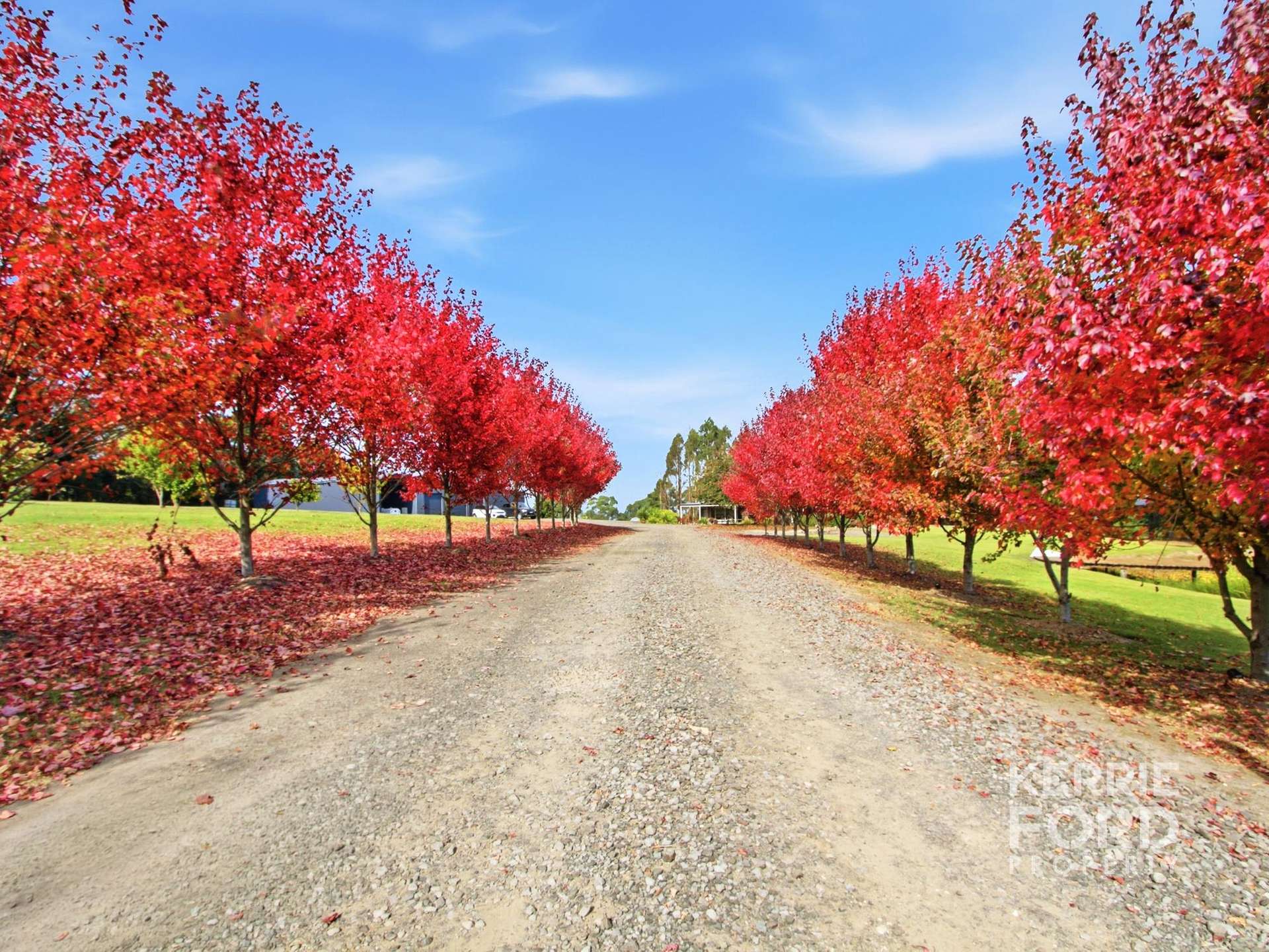 85 Saviges Road, Yallourn North For Sale by Farmbuy.com - image 21