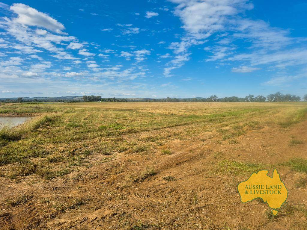 . Byee Road, Wheatlands For Sale by Farmbuy.com - image 7
