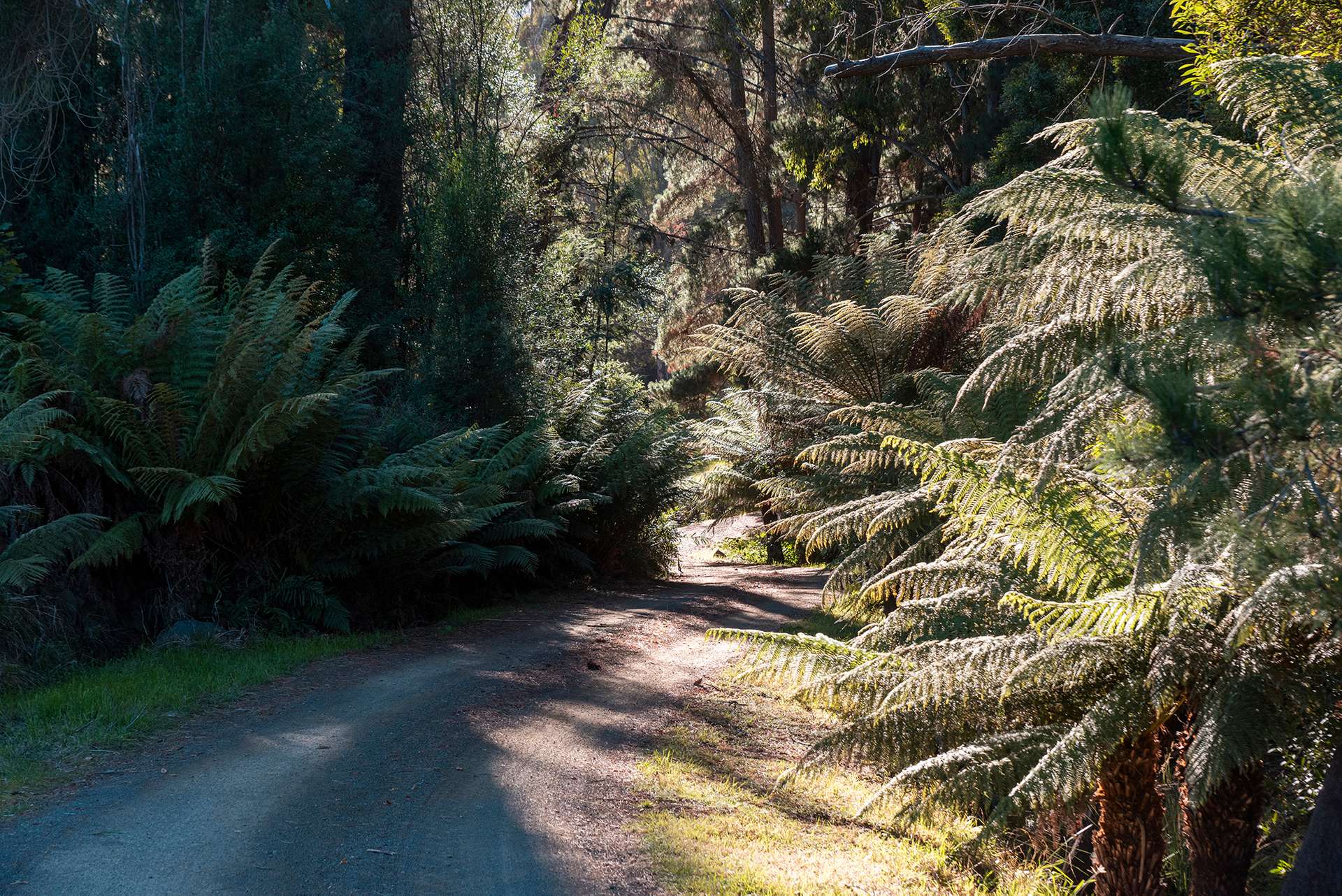 190 Stormlea Road, Nubeena For Sale by Farmbuy.com - image 33