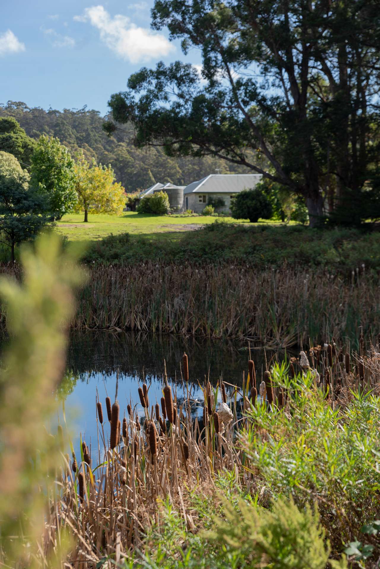 190 Stormlea Road, Nubeena For Sale by Farmbuy.com - image 11