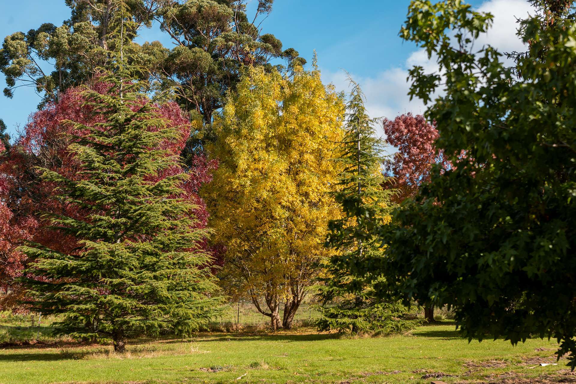 190 Stormlea Road, Nubeena For Sale by Farmbuy.com - image 28