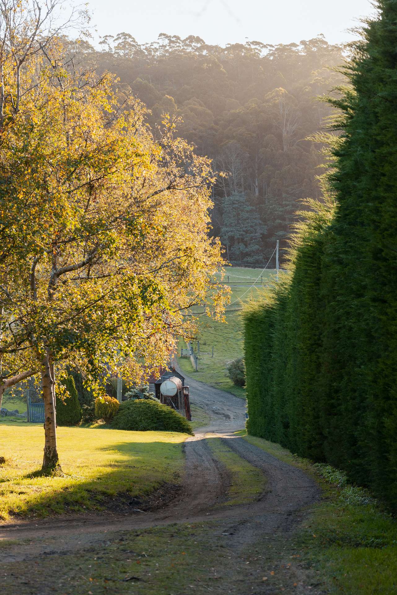 190 Stormlea Road, Nubeena For Sale by Farmbuy.com - image 24