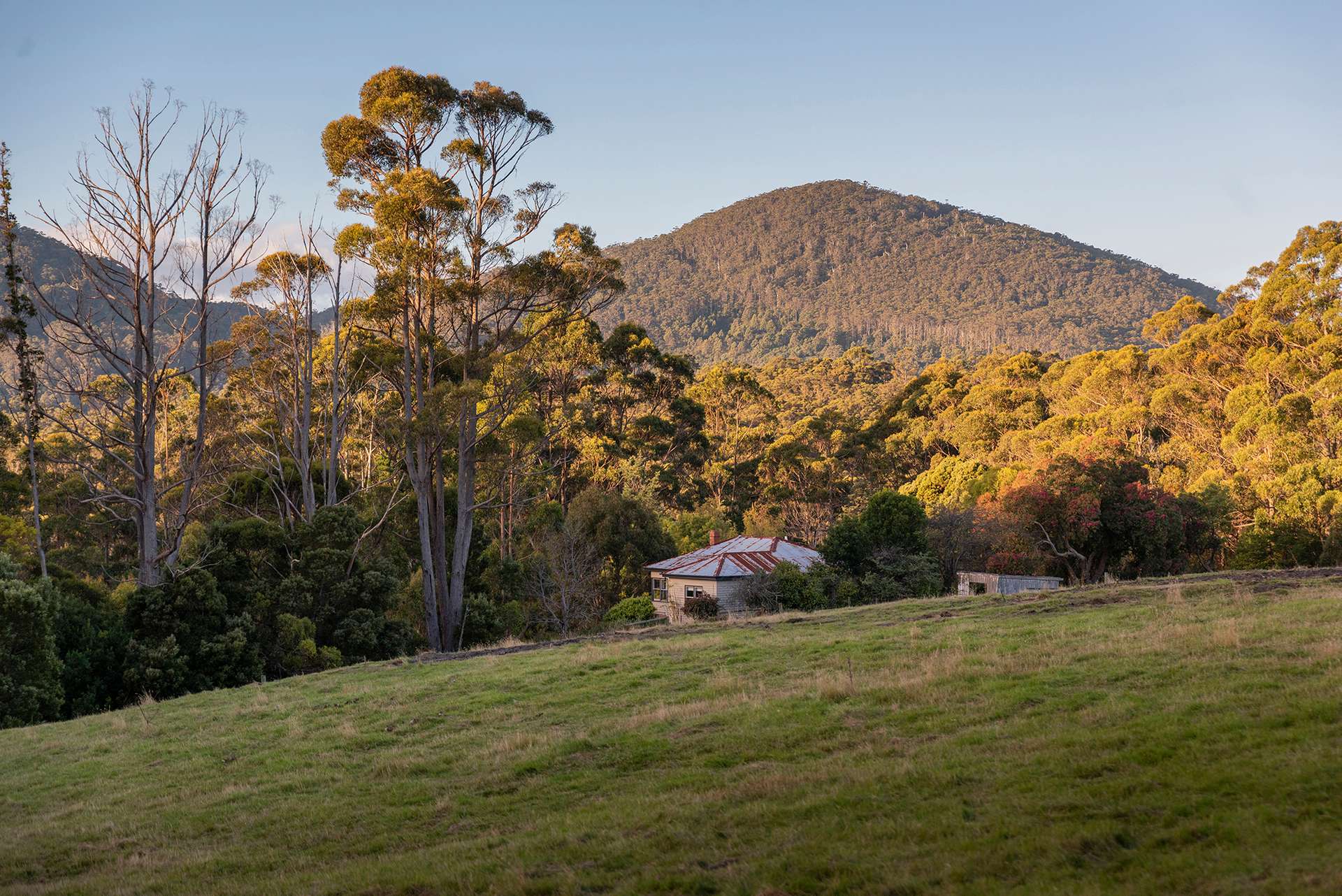 190 Stormlea Road, Nubeena For Sale by Farmbuy.com - image 20
