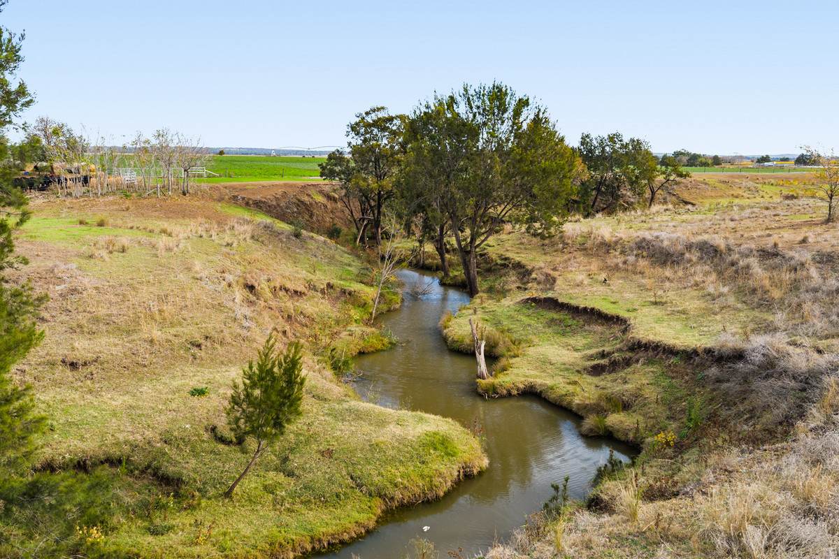 79 Merivale Street, Allora For Sale by Farmbuy.com - image 9
