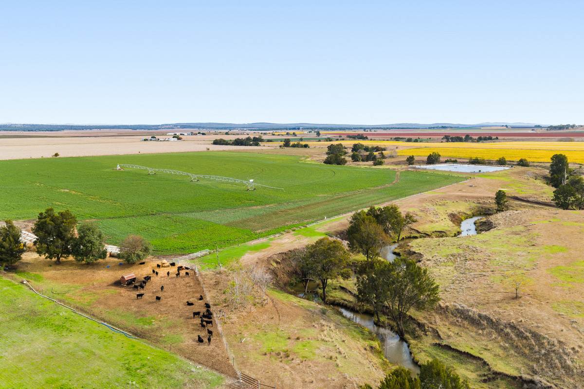 79 Merivale Street, Allora For Sale by Farmbuy.com - image 7