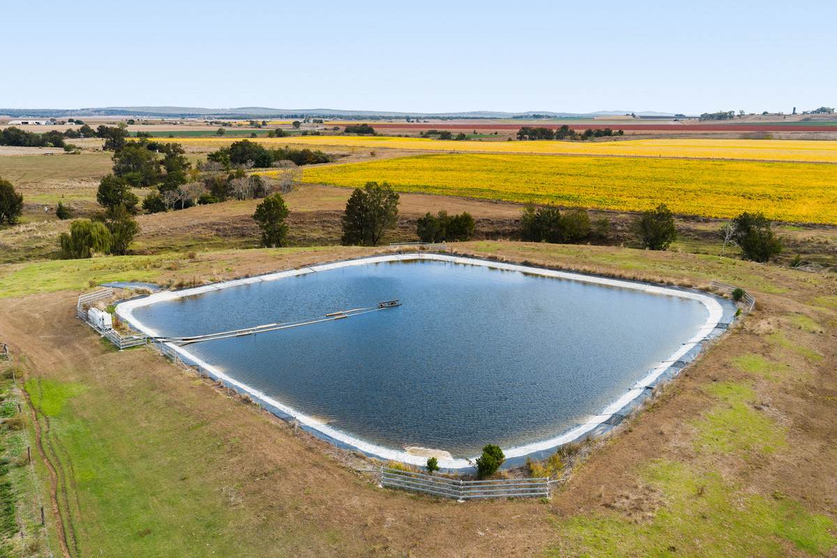 79 Merivale Street, Allora For Sale by Farmbuy.com - image 8