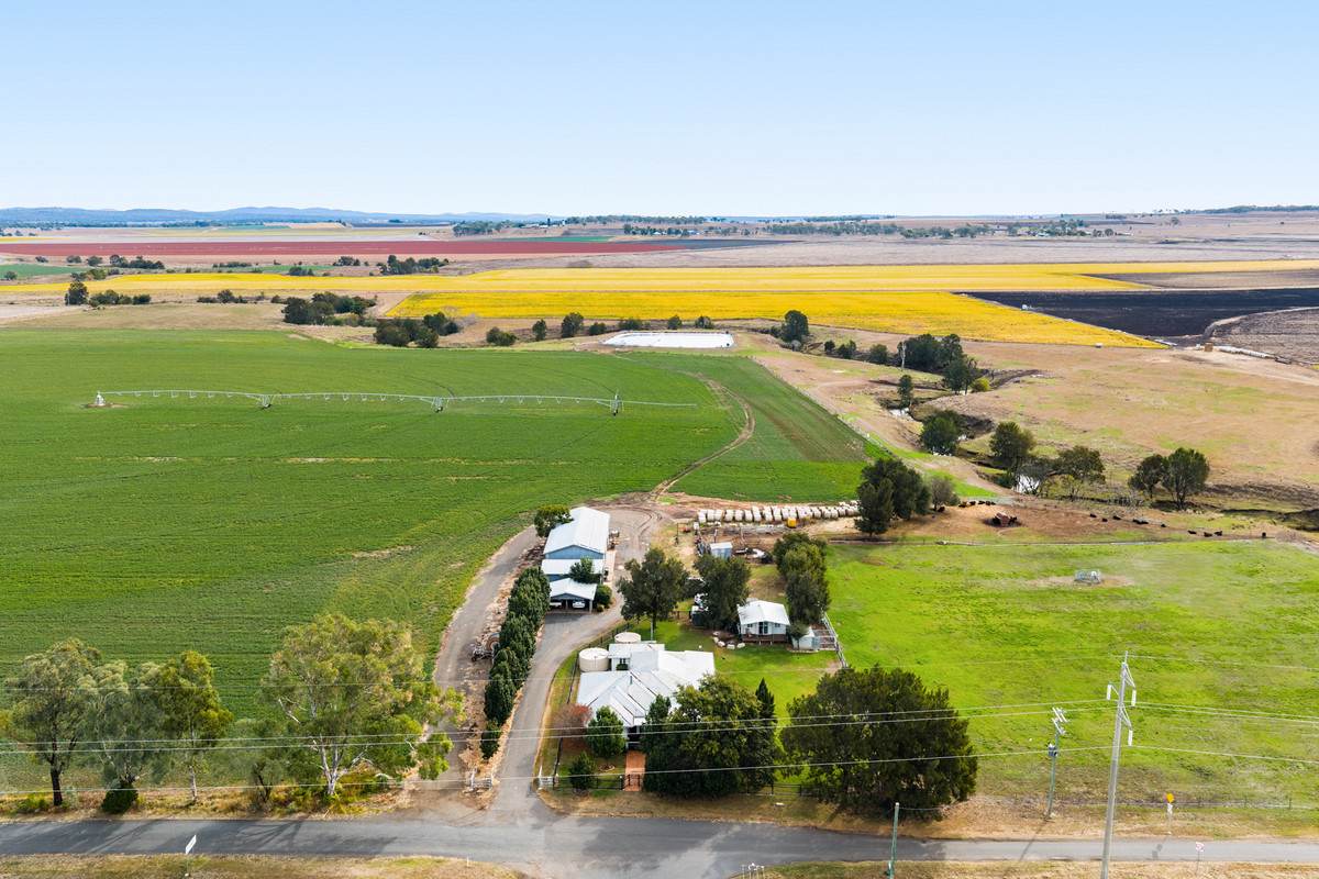79 Merivale Street, Allora For Sale by Farmbuy.com - image 3