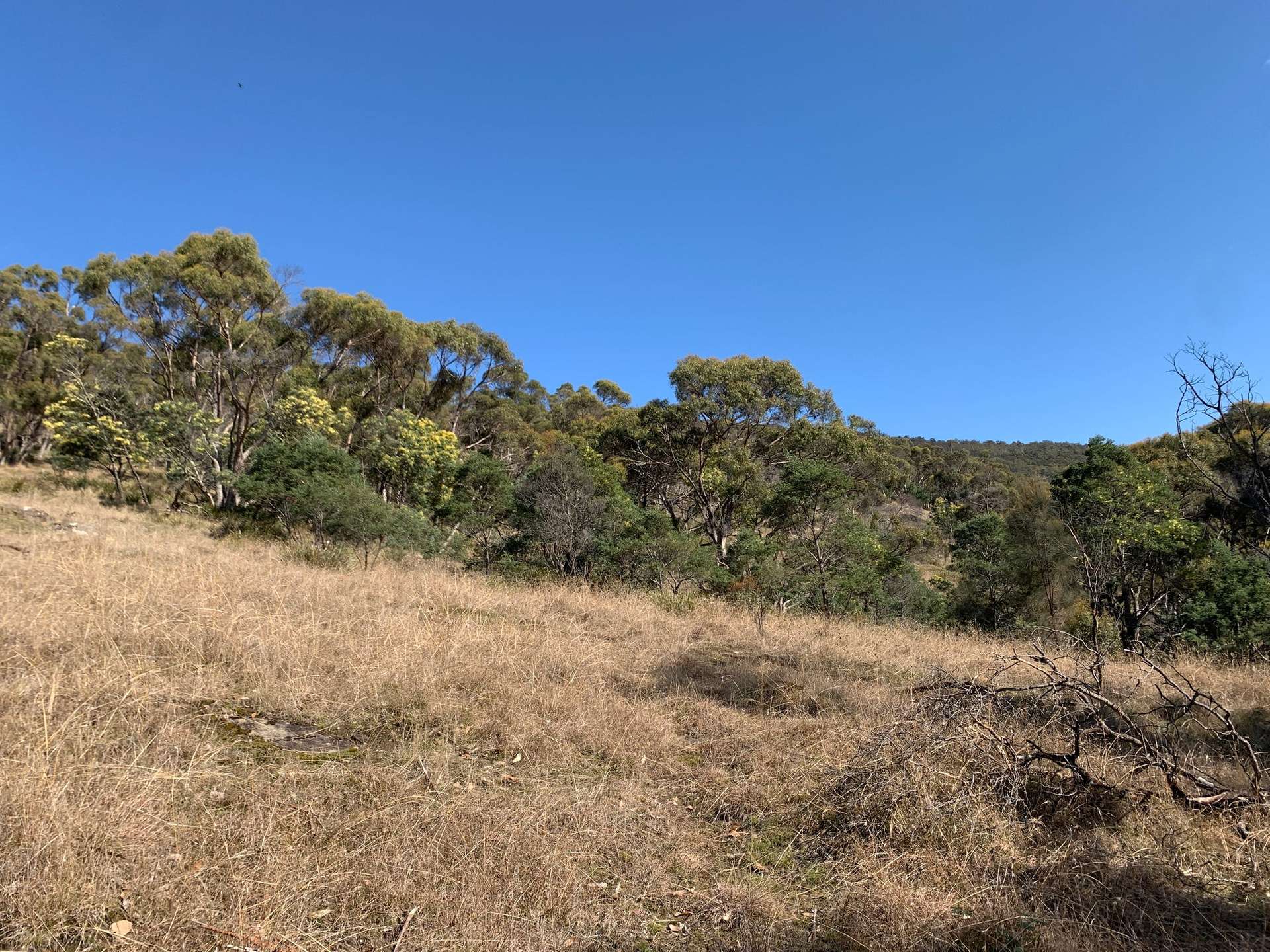 Westerway For Sale by Farmbuy.com - image 6