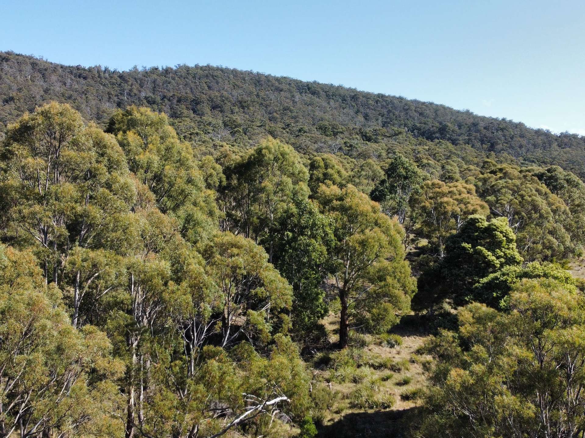 Westerway For Sale by Farmbuy.com - image 15