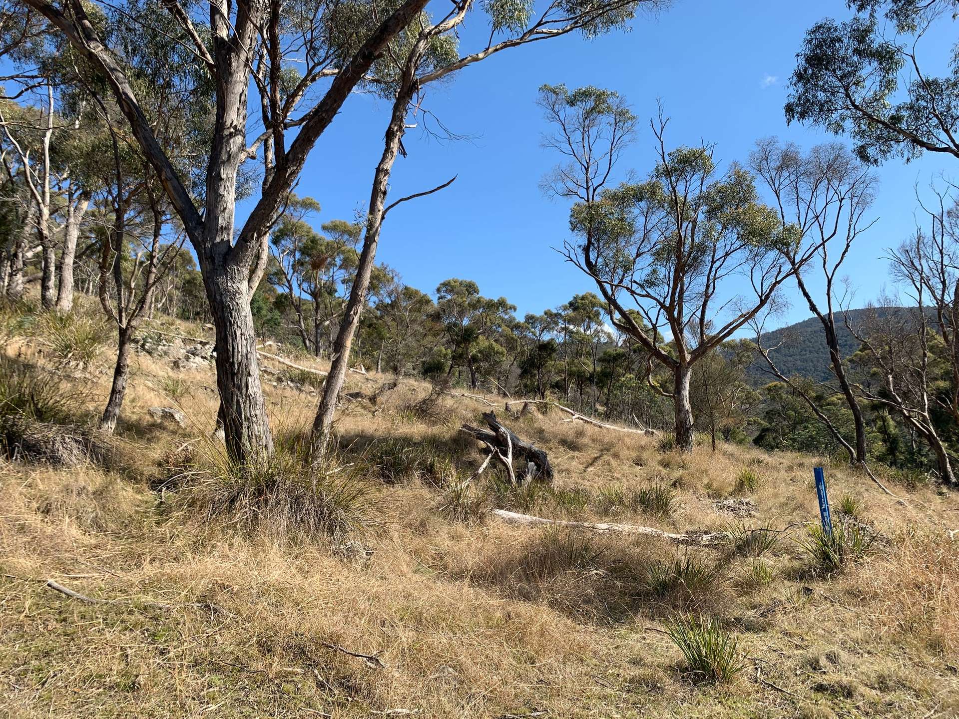 Westerway For Sale by Farmbuy.com - image 10