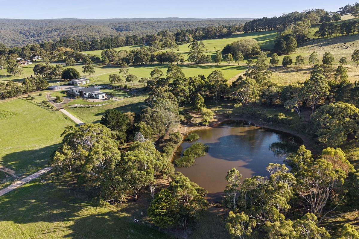 65 Dunne Road, Bullengarook For Sale by Farmbuy.com - image 5