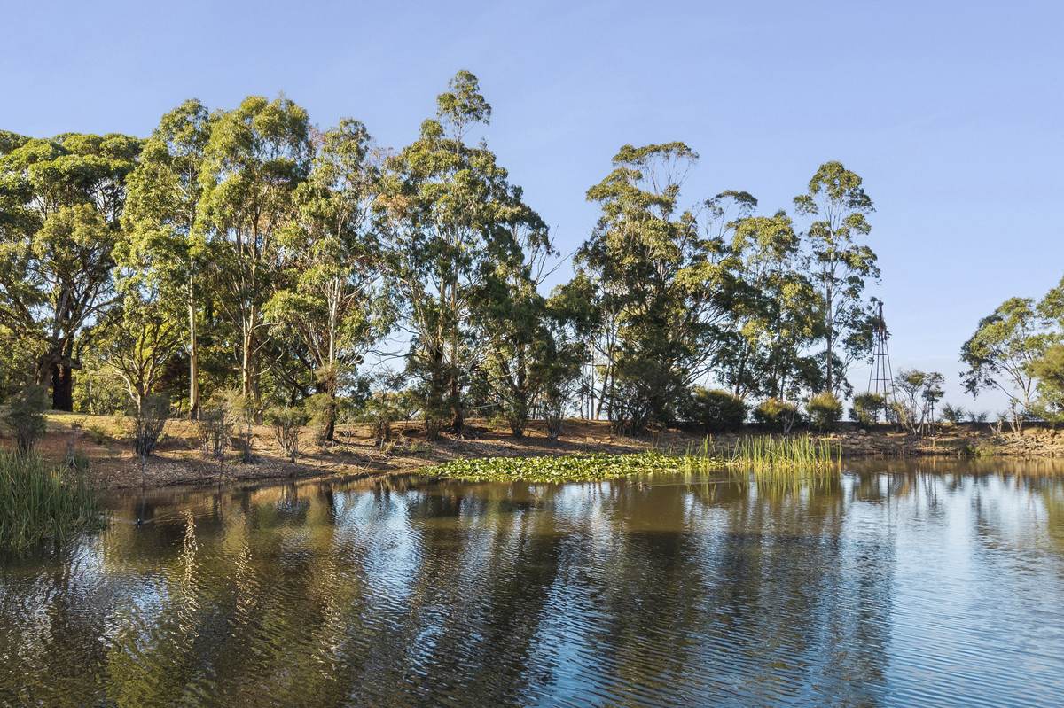 65 Dunne Road, Bullengarook For Sale by Farmbuy.com - image 29