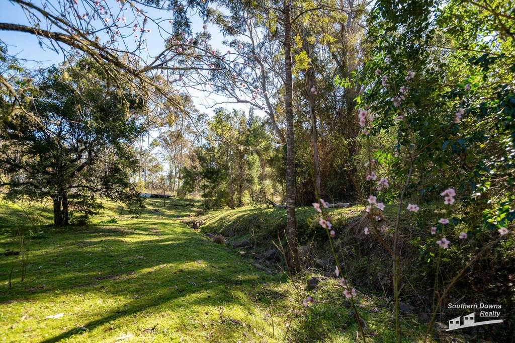 167 Dollar Bill Drive, Swanfels QLD 4371