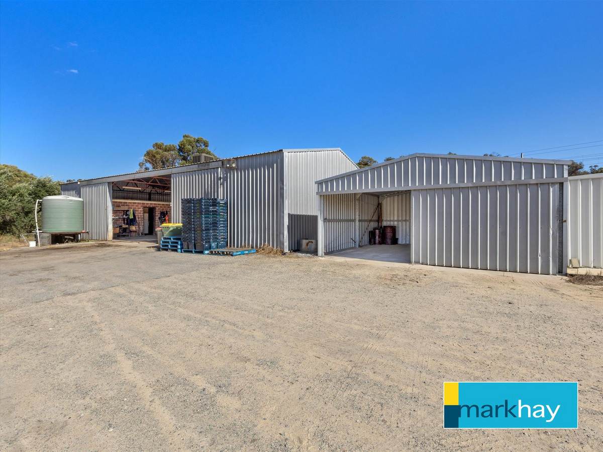89 Fletcher Road, Karnup For Sale by Farmbuy.com - image 11