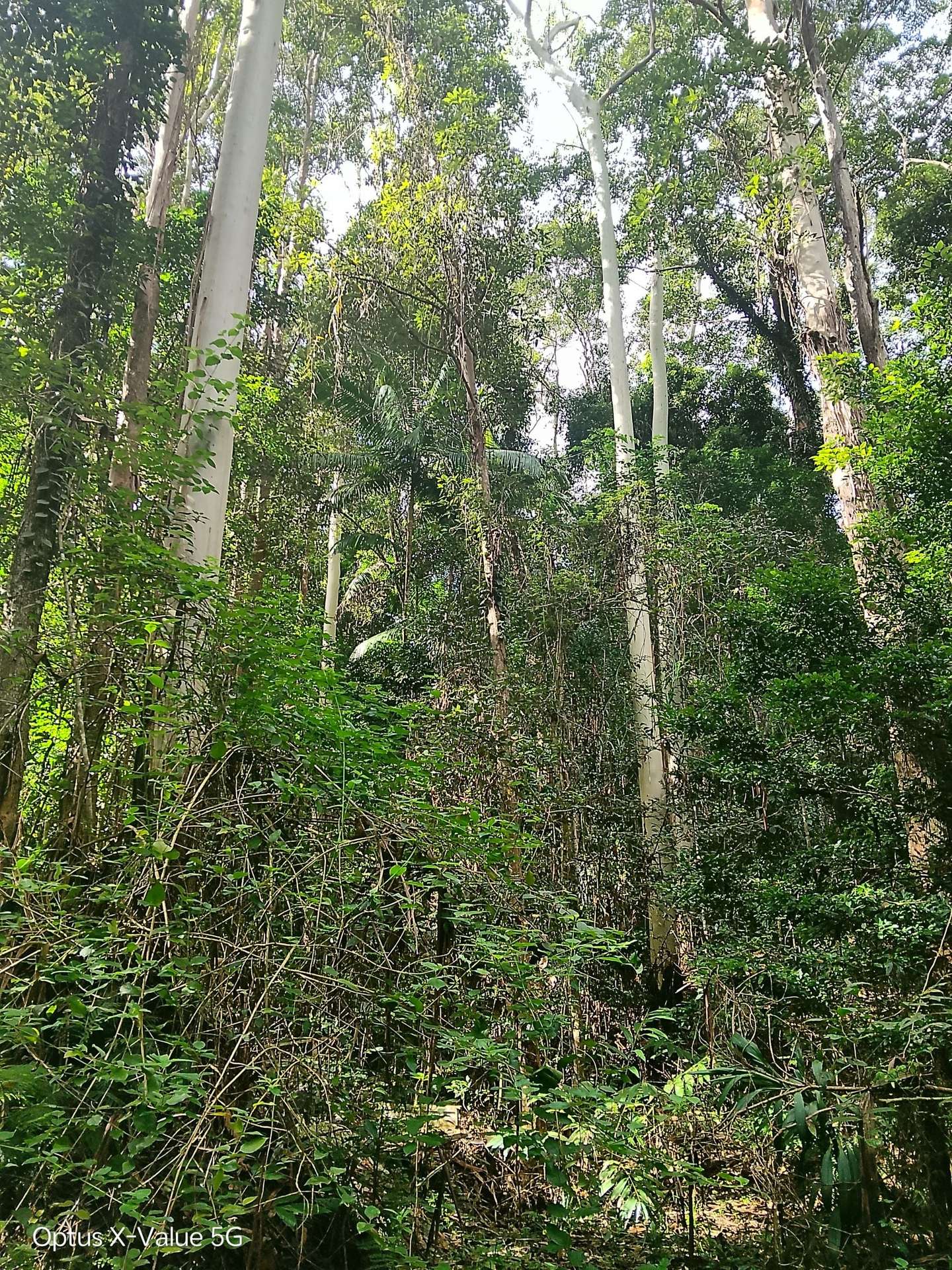 Lot 8/399 Browns Creek Road, Bridges For Sale by Farmbuy.com - image 2